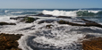 Beavertail II
